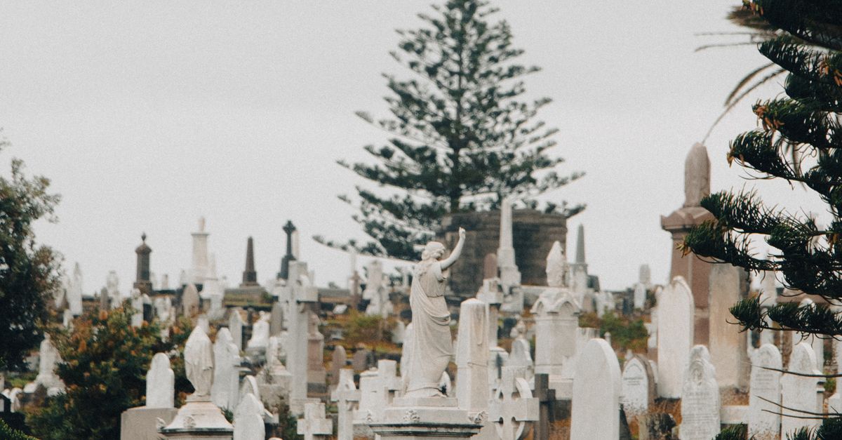 Connecting Through Loss: Grief Support Networks in Sydney